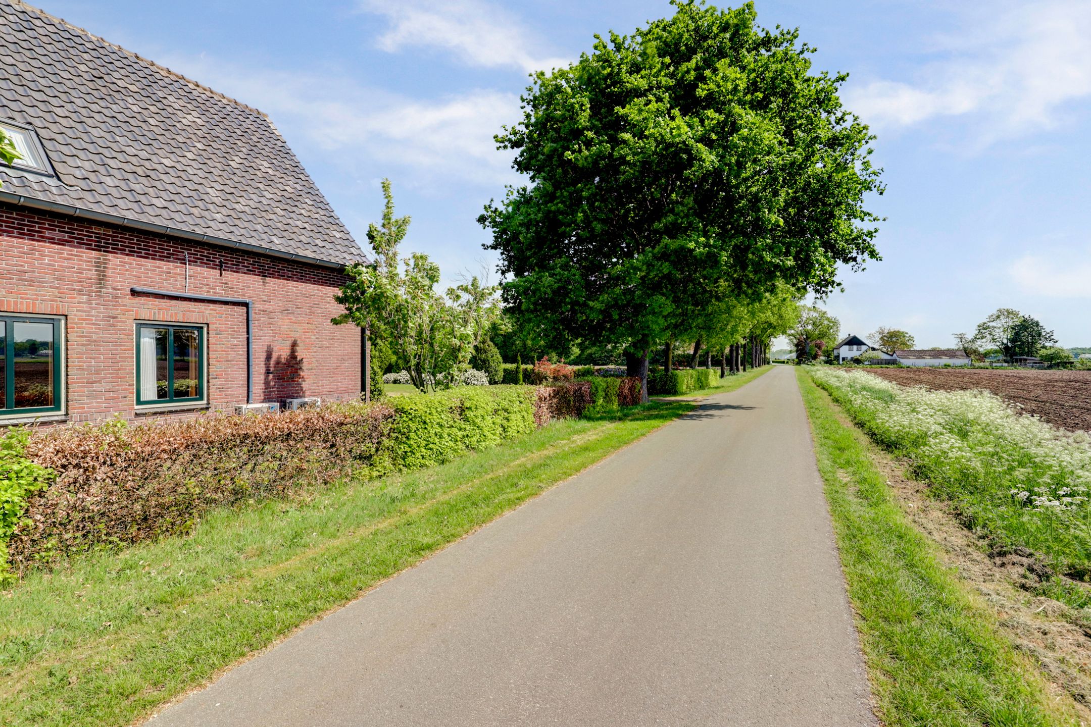 Foto 9 van Voskeschedwarsstraat 2