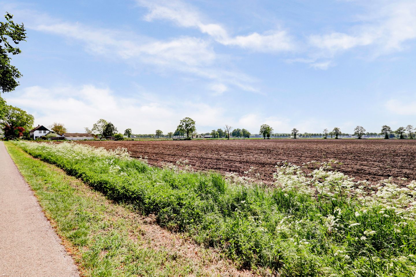 Foto 50 van Voskeschedwarsstraat 2