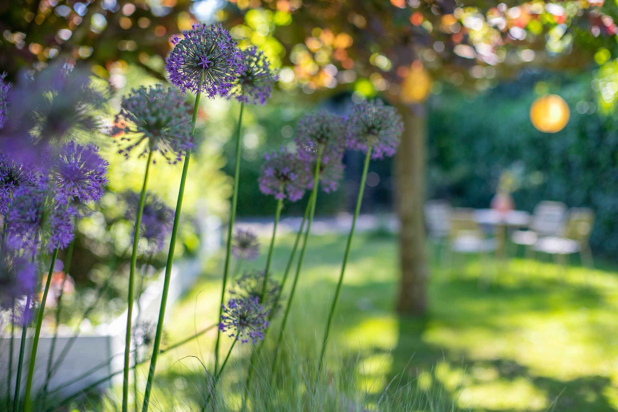 Foto 15 van Beatrixlaan 13