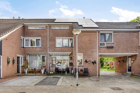 undefined main image