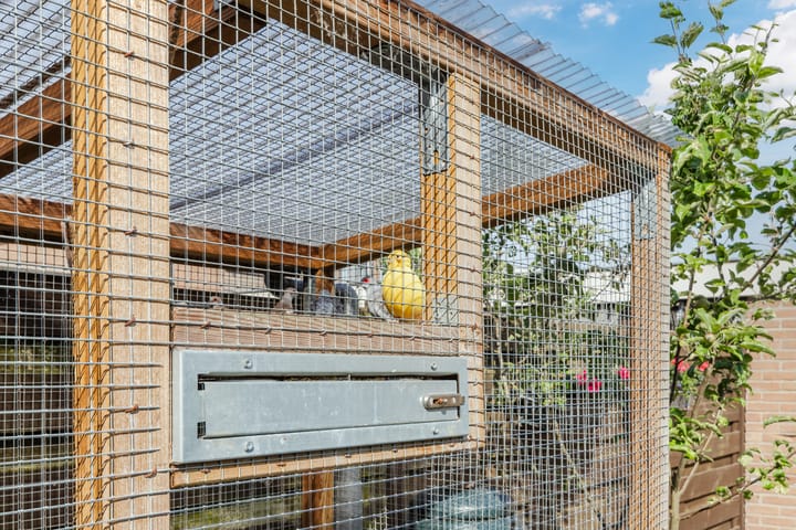 Foto 32 van Begoniastraat 72