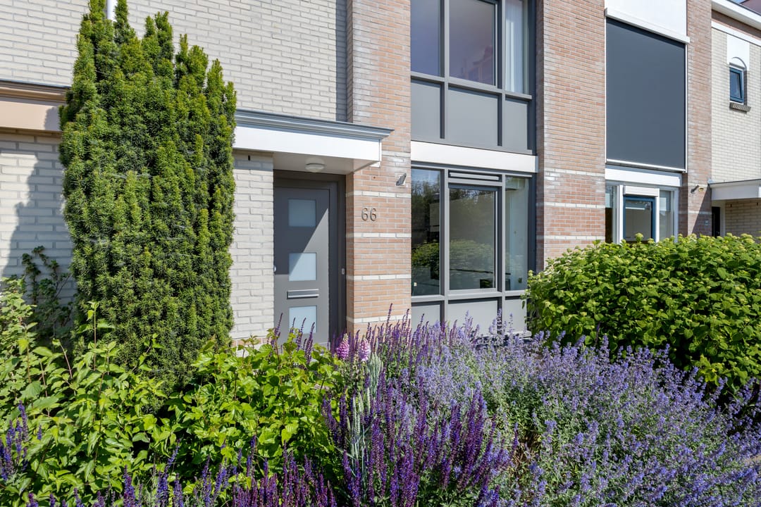 Foto 8 van Bacchus 66