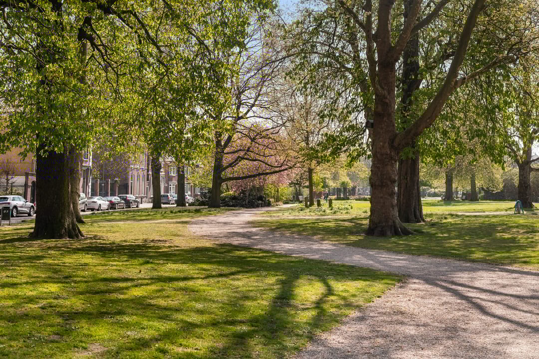 Foto 52 van Plein Eendragt 11-A