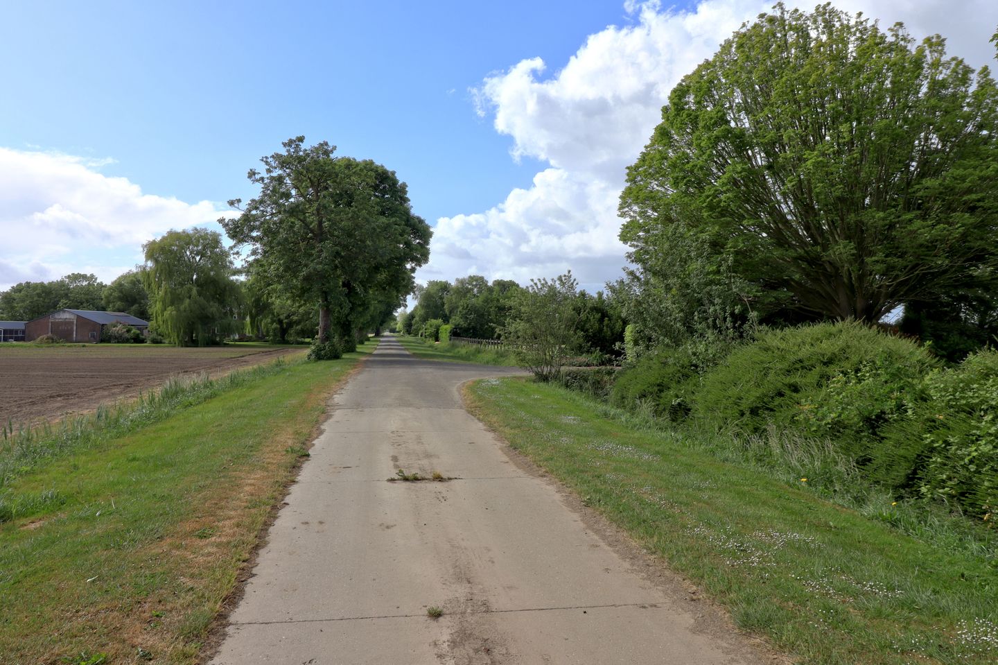 Photo 25 of Steenwijkerdwarsweg 15