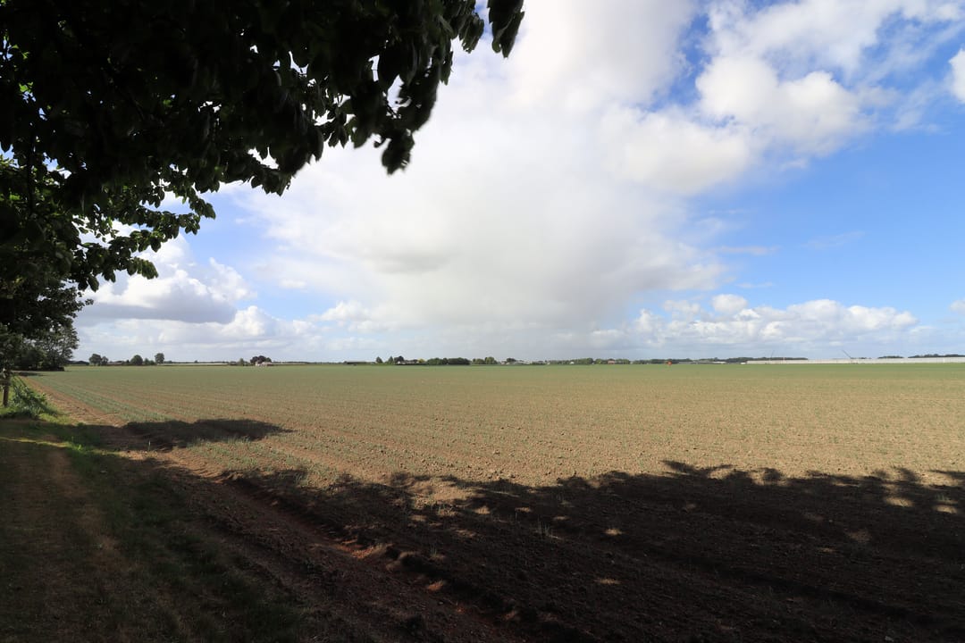 Photo 38 of Steenwijkerdwarsweg 15