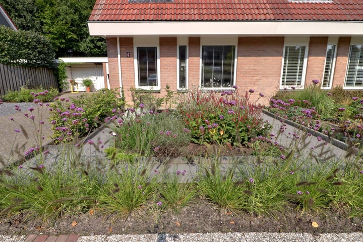 Photo 36 of Westerkimme 4