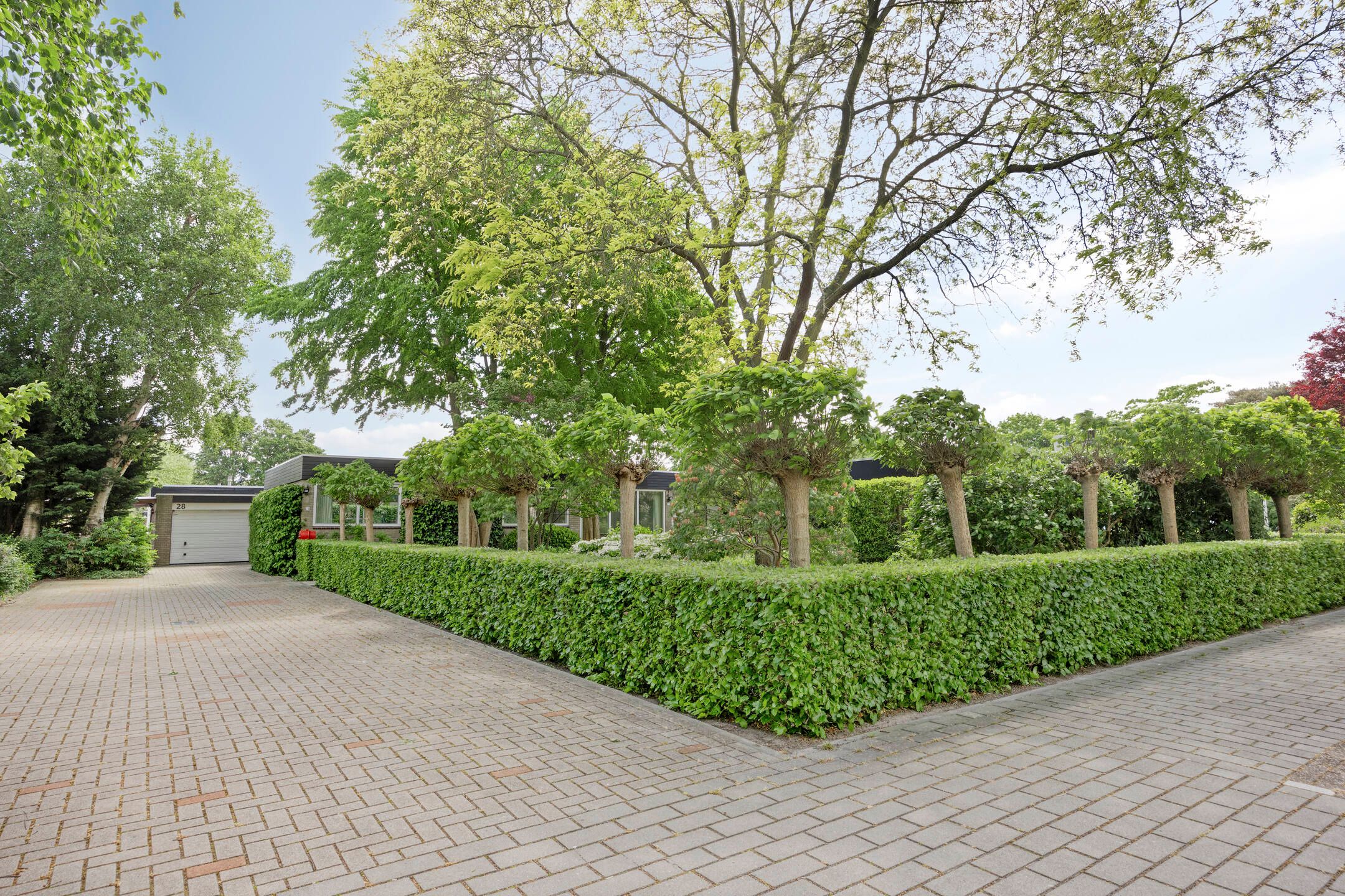 Foto 6 van Park Berkenoord 28