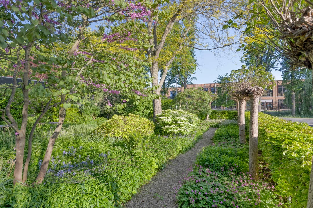 Foto 26 van Park Berkenoord 28