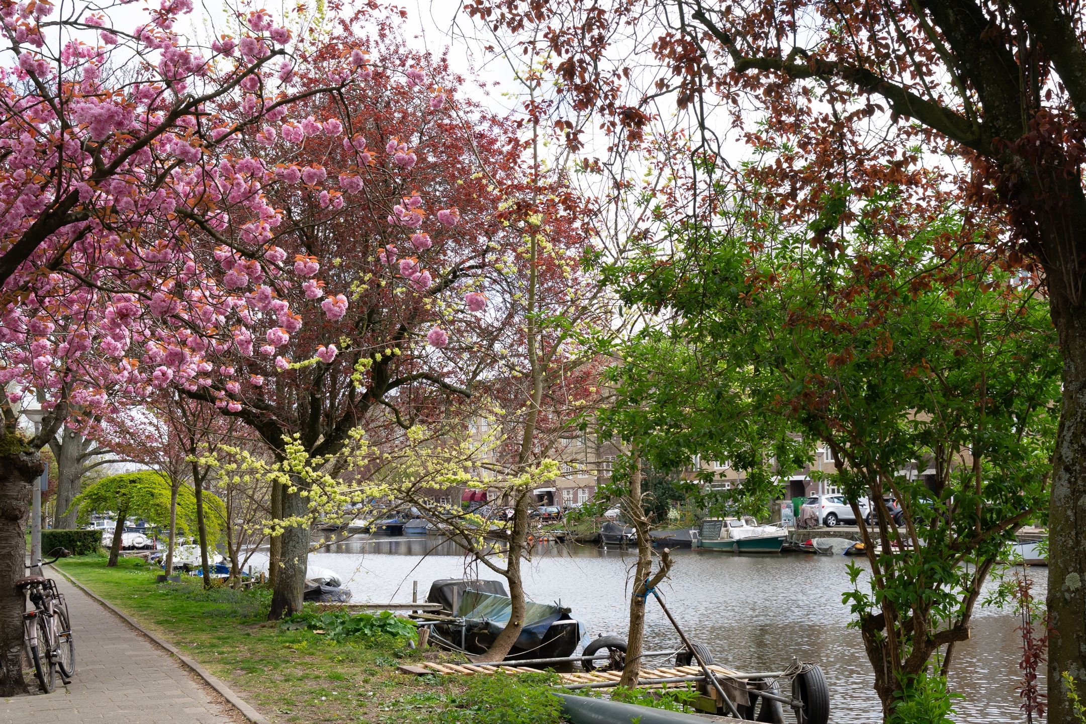 Photo 39 of Amstelkade 65-C