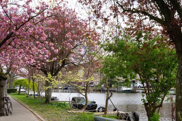 Foto 39 van Amstelkade 65-C