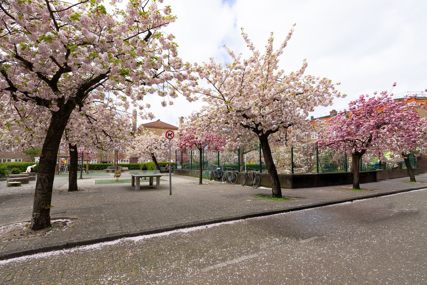 Photo 40 of Amstelkade 65-C