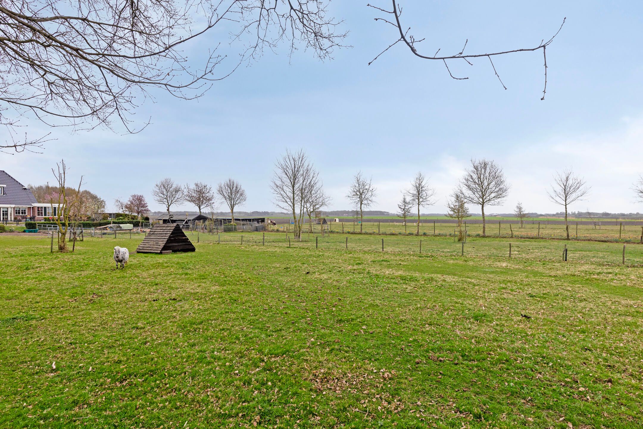 Foto 3 van Alteveersterweg 17