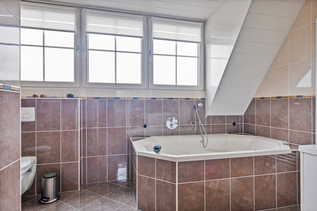 Foto 43 van Alteveersterweg 17