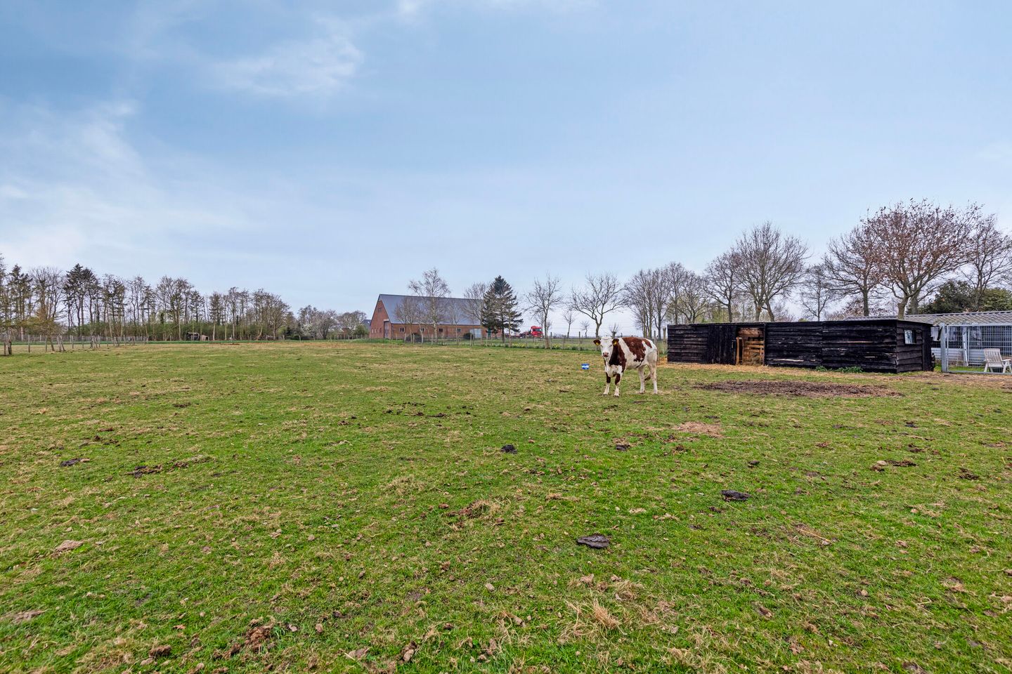 Foto 64 van Alteveersterweg 17