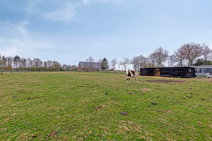 Photo 64 of Alteveersterweg 17