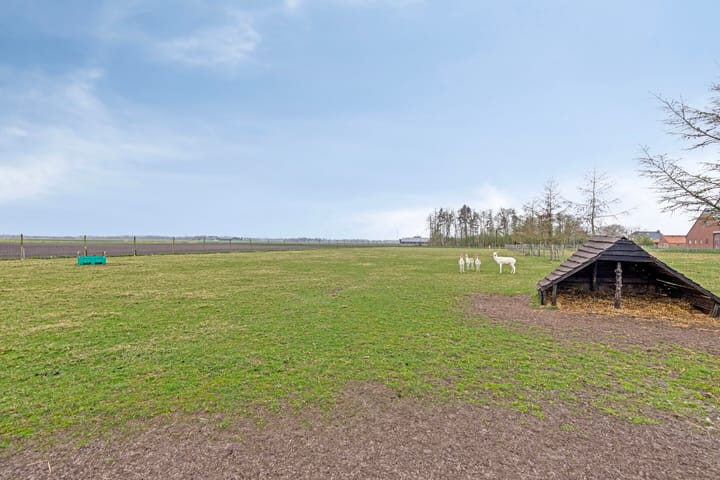 Photo 65 of Alteveersterweg 17