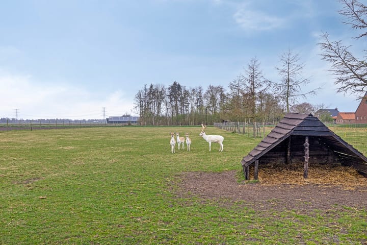 Photo 66 of Alteveersterweg 17