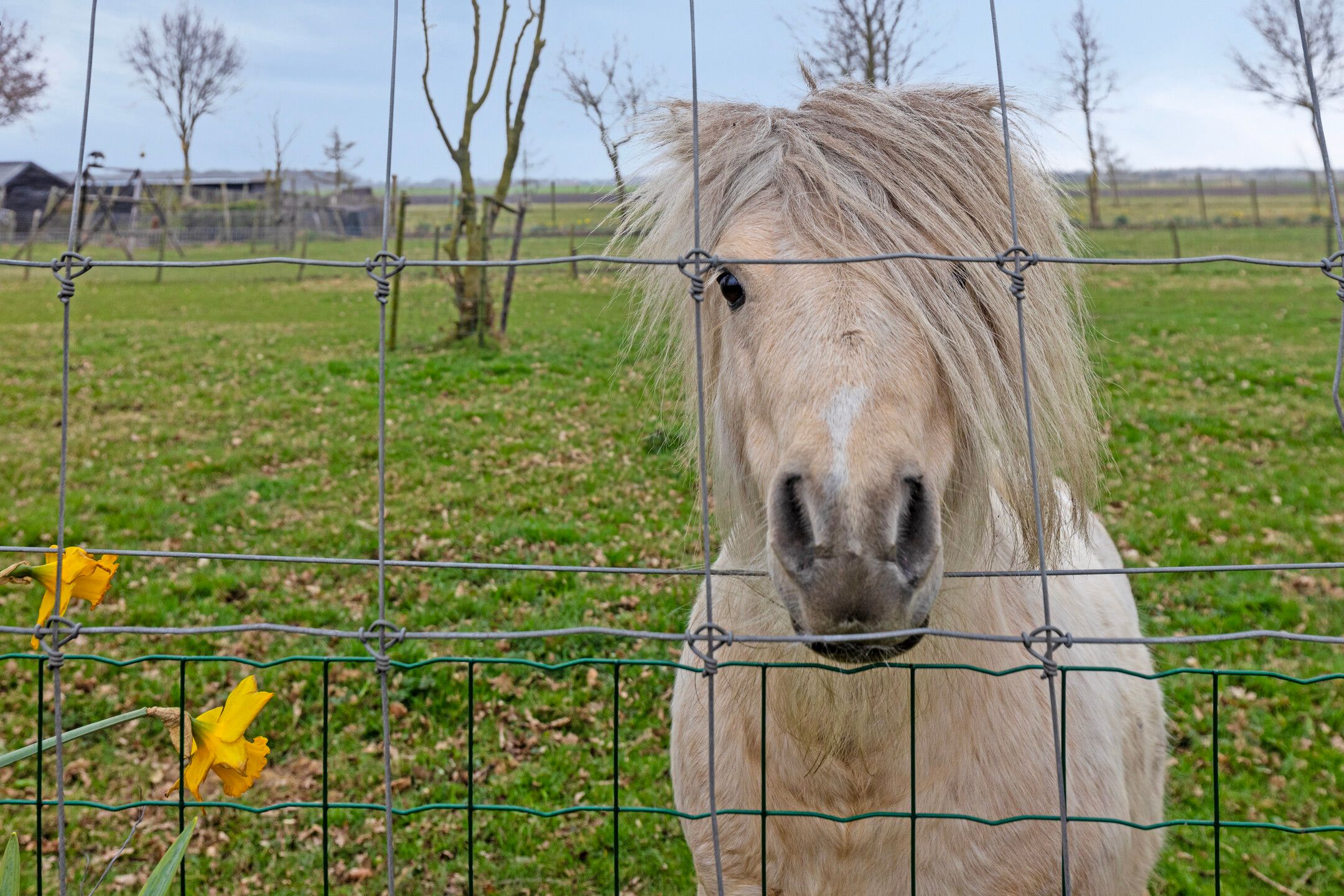 Foto 69 van Alteveersterweg 17