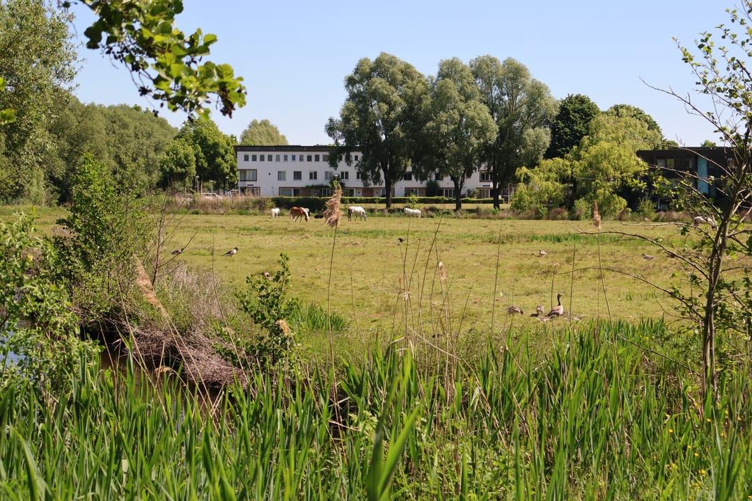 Foto 31 van Rumbeke 7