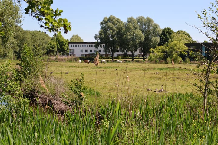 Foto 31 van Rumbeke 7