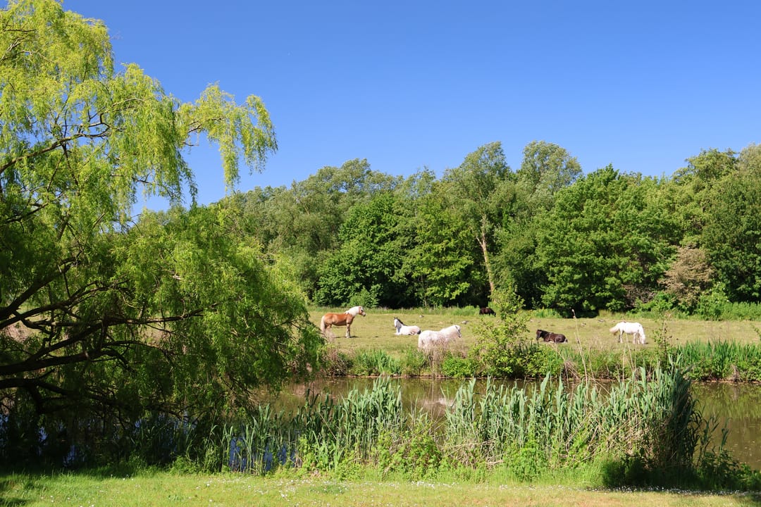 Foto 32 van Rumbeke 7