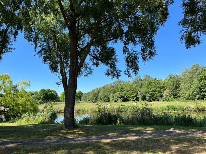 Foto 33 van Rumbeke 7