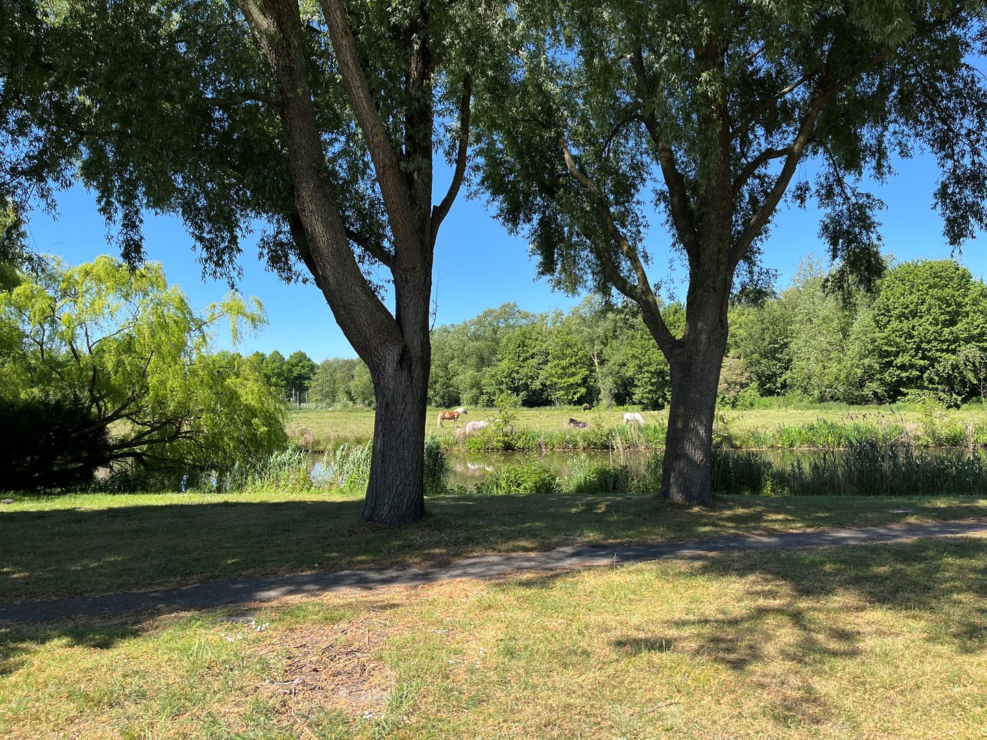 Foto 34 van Rumbeke 7