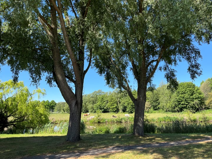 Foto 35 van Rumbeke 7