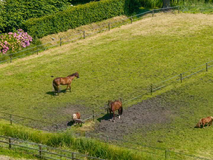 Foto 50 van Dr. Welfferweg 86-A