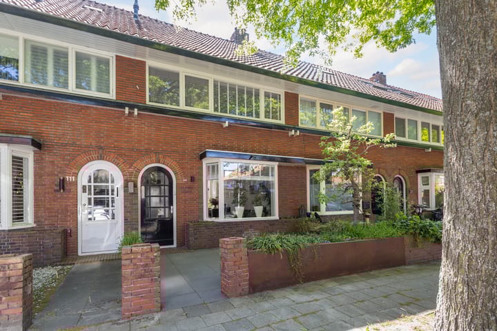 Foto 42 van Ferdinand Bolstraat 113