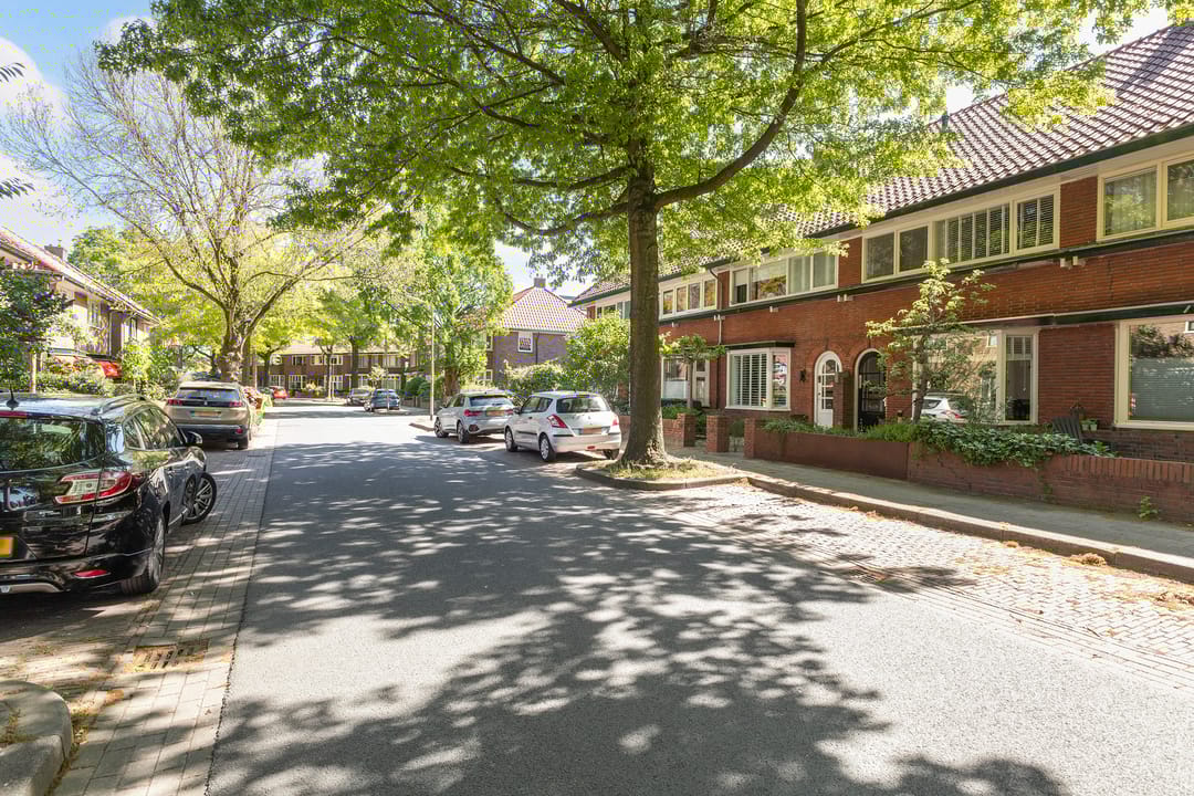 Foto 46 van Ferdinand Bolstraat 113