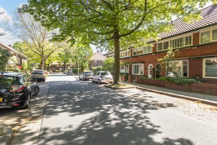 Foto 46 van Ferdinand Bolstraat 113