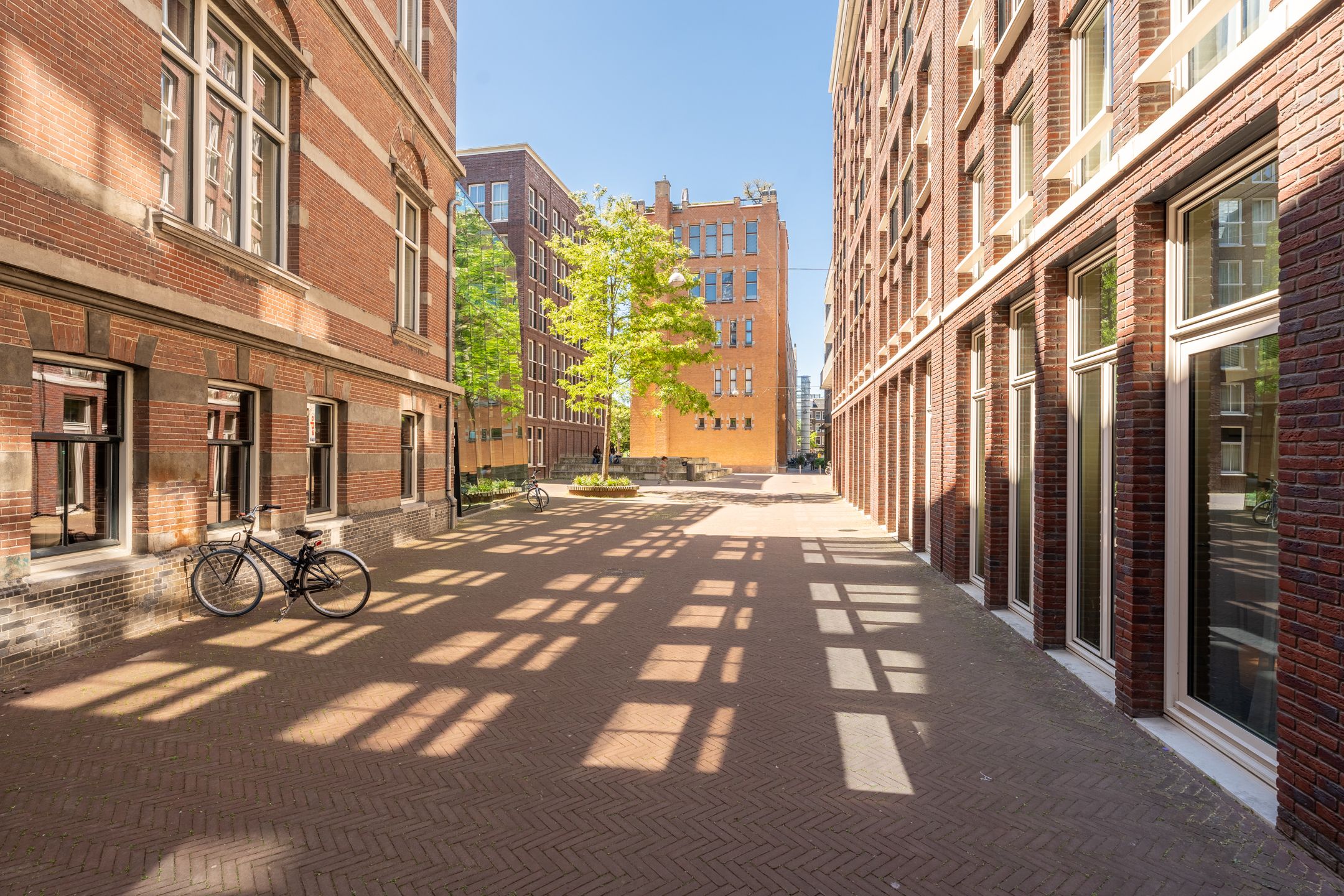 Photo 30 of Dora Tamanaplein 61