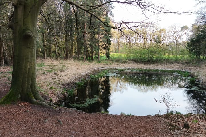 Foto 98 van Oude Postweg 3