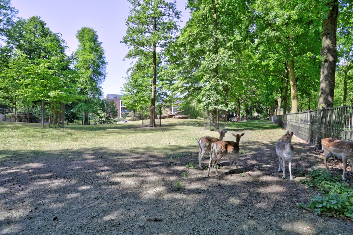 Photo 55 of Oude Provincialeweg 20