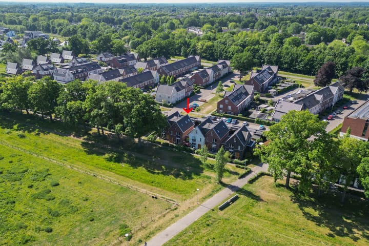 Foto 2 van Hermelijn 37