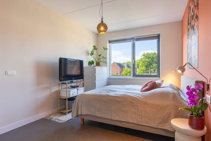 Foto 29 van Hermelijn 37