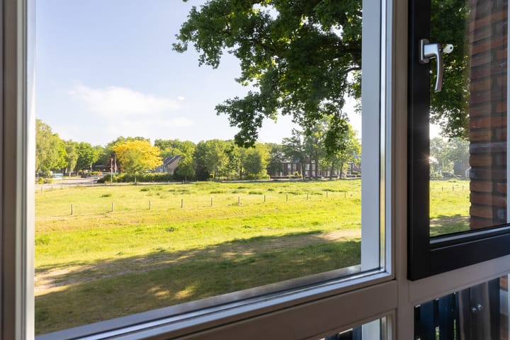 Foto 32 van Hermelijn 37