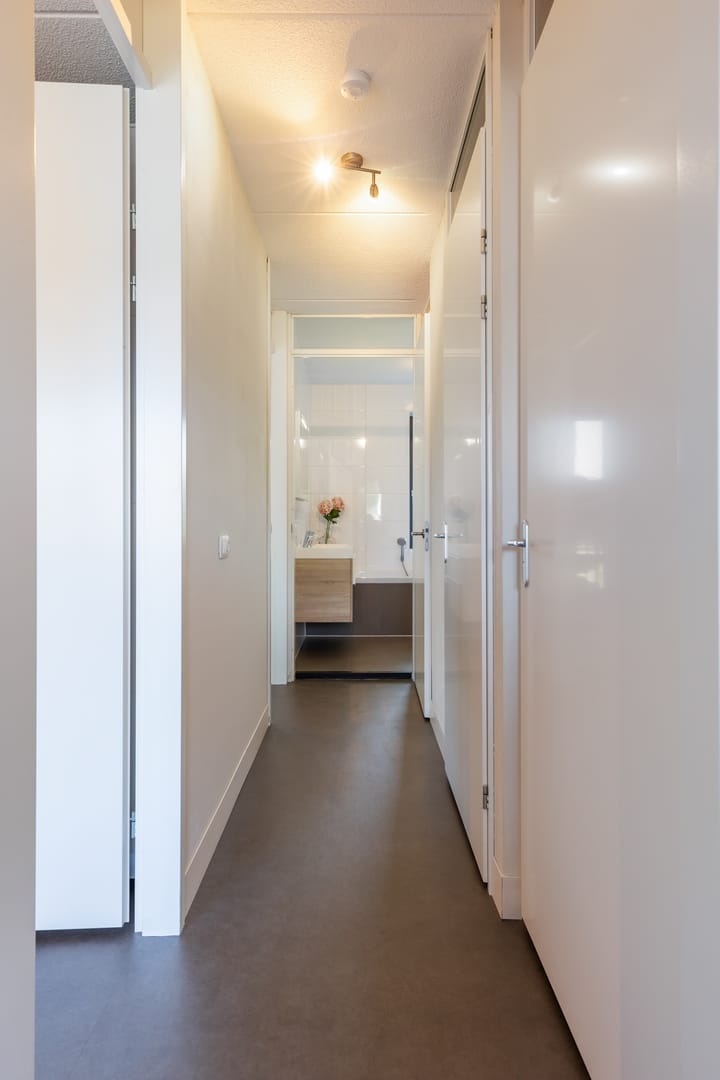 Foto 37 van Hermelijn 37