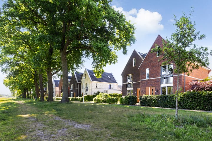 Foto 44 van Hermelijn 37