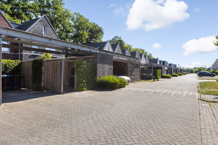 Foto 45 van Hermelijn 37