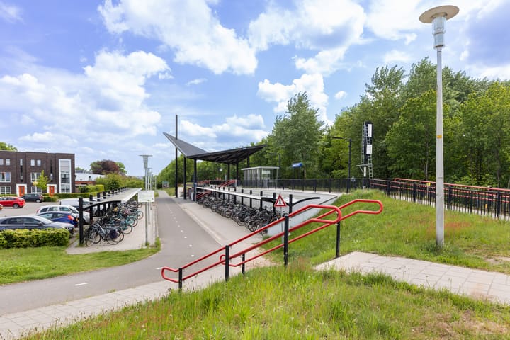 Foto 46 van Hermelijn 37