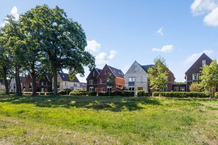 Foto 50 van Hermelijn 37