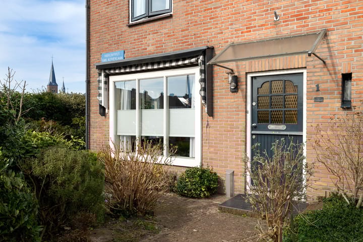 Foto 51 van Hiëronymus van Alphenlaan 1