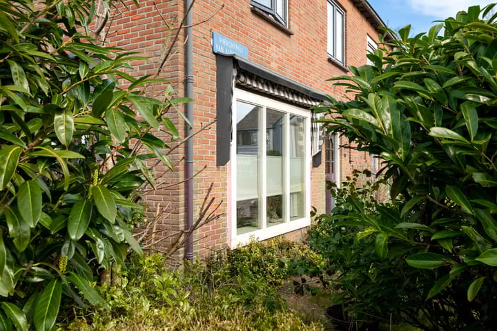 Foto 53 van Hiëronymus van Alphenlaan 1