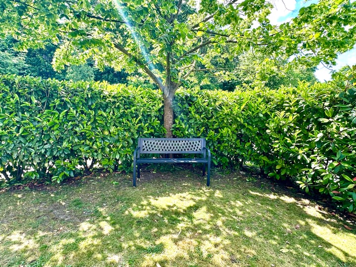 Photo 34 of Banstraat 25-004