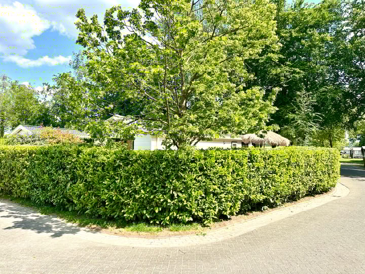 Photo 40 of Banstraat 25-004