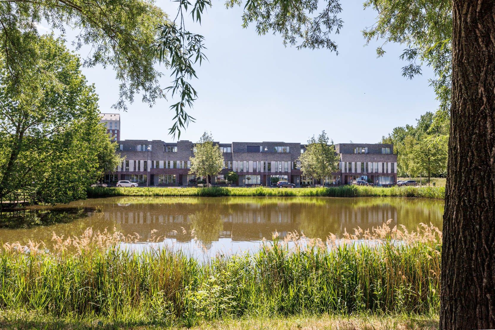 Foto 54 van Octavialaan 82