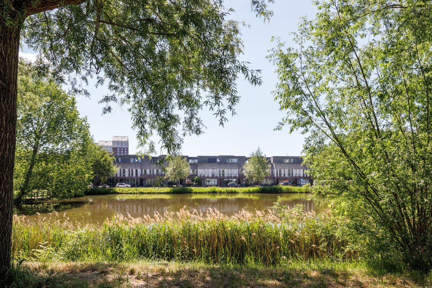 Foto 55 van Octavialaan 82