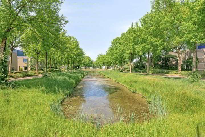 Foto 42 van Torenvalk 13